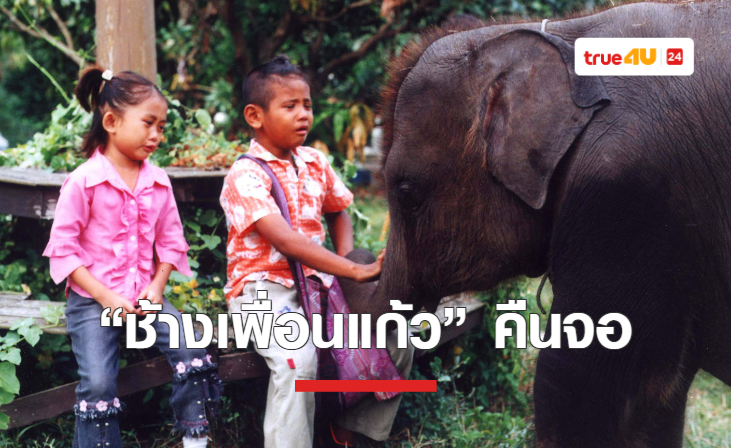 ทรูโฟร์ยู ช่อง 24 ชวนดู “ช้างเพื่อนแก้ว” มิตรภาพที่แสนอบอุ่นหัวใจของเพื่อนซี้ต่างไซส์ 13 พฤศจิกายนนี้