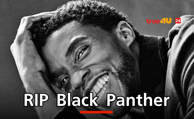  ช็อค! แชดวิก โบสแมน ผู้รับบท Black Panther เสียชีวิต